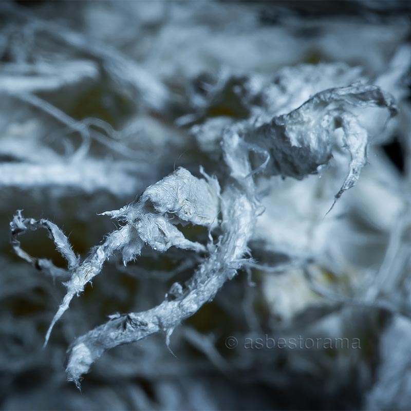 Tremolite Asbestos